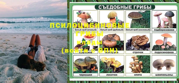 героин Алзамай