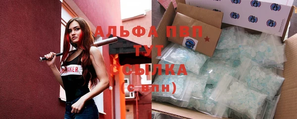 индика Ростов
