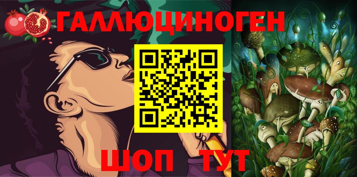Галлюциногенные грибы Psilocybe  Вход с VPN  Алушта 